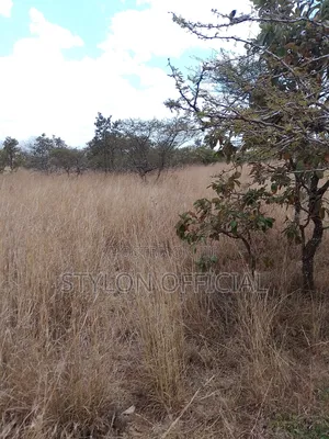 10 Acres Land for Sale in Kaptei, Kajiado – KSh 600,000