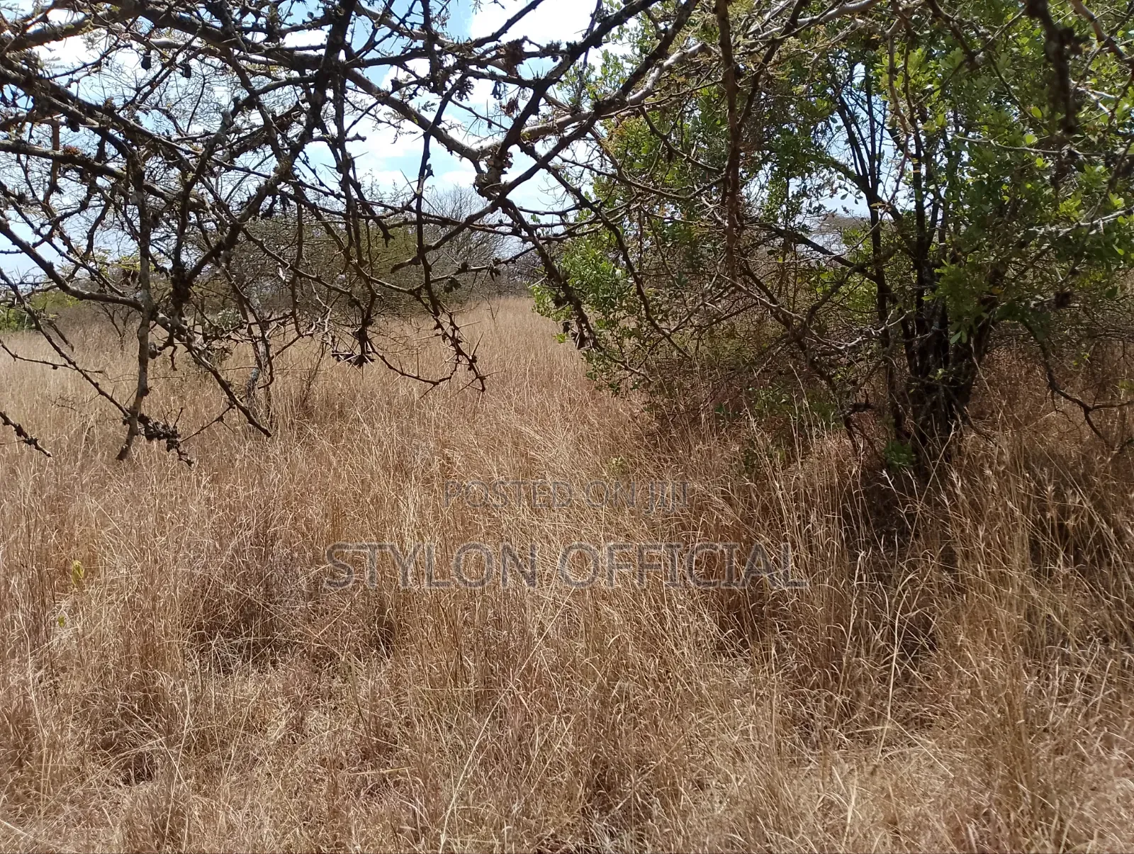 10 Acres Land for Sale in Kaptei, Kajiado – KSh 600,000