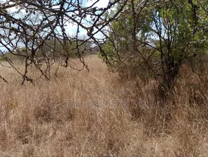 10 Acres Land for Sale in Kaptei, Kajiado – KSh 600,000
