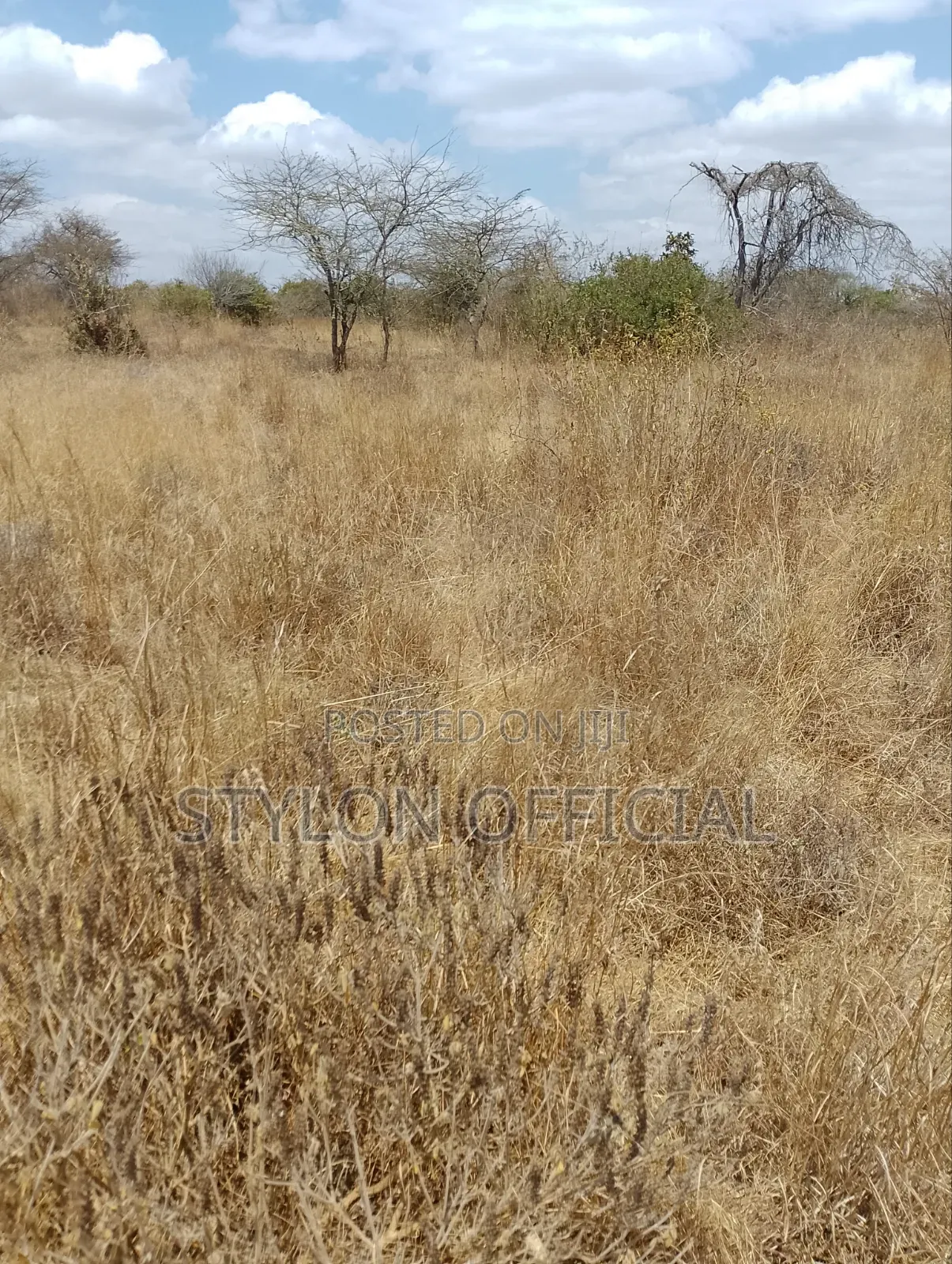 10 Acres Land for Sale in Kaptei, Kajiado – KSh 600,000
