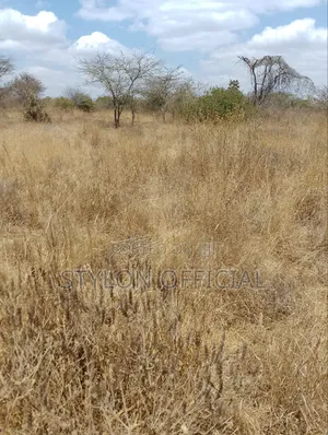 10 Acres Land for Sale in Kaptei, Kajiado – KSh 600,000