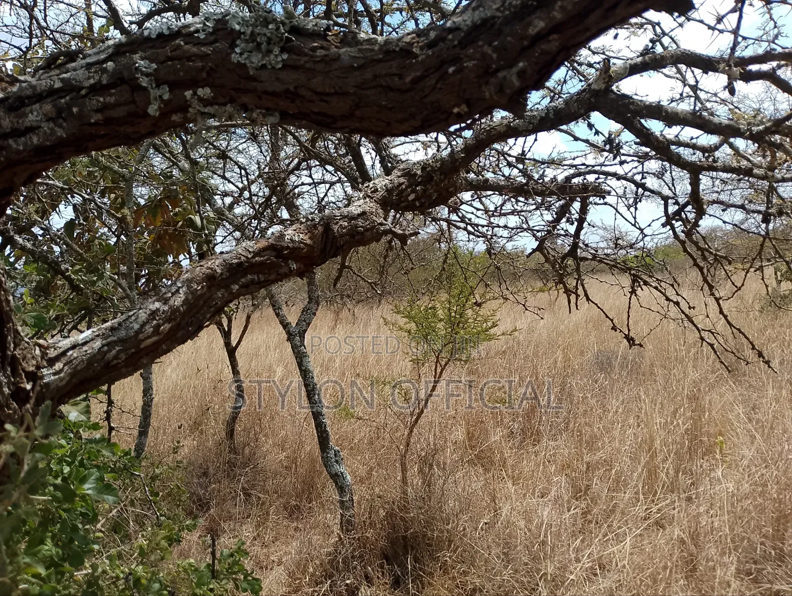 10 Acres Land for Sale in Kaptei, Kajiado – KSh 600,000