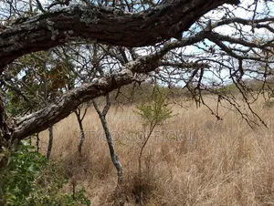 10 Acres Land for Sale in Kaptei, Kajiado – KSh 600,000
