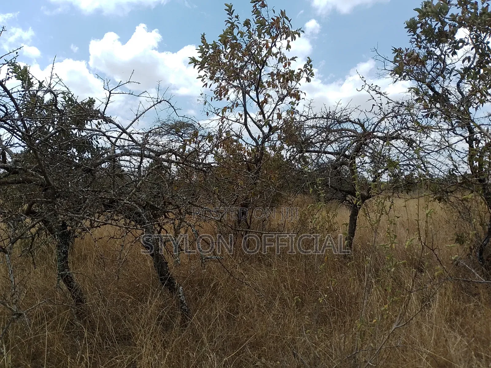 10 Acres Land for Sale in Kaptei, Kajiado – KSh 600,000