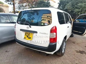 Toyota Probox 2014 Pearl