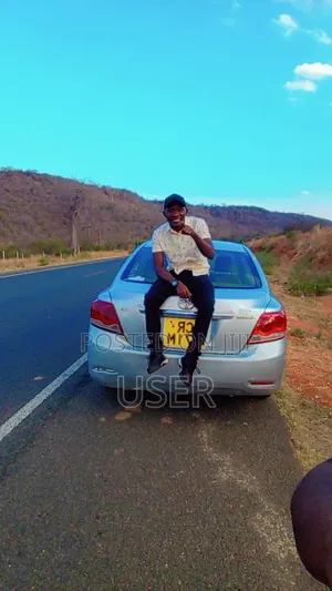 Professional Personl Driver