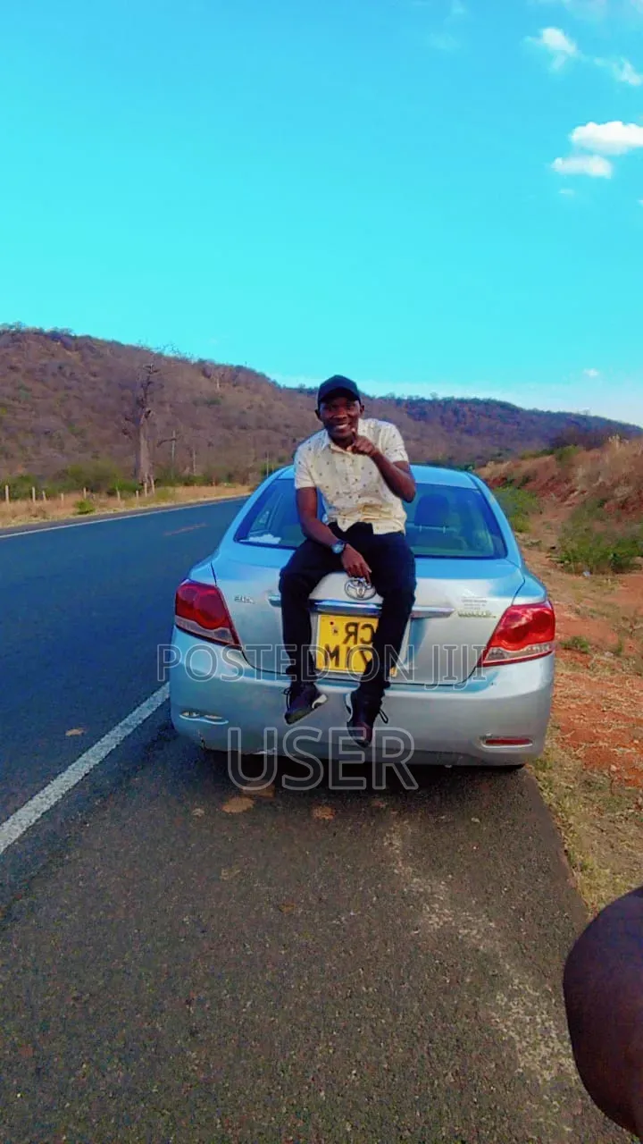 Professional Personl Driver
