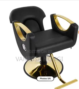 Comfortable Saloon/Barber Chairs Leather Saloon Chair