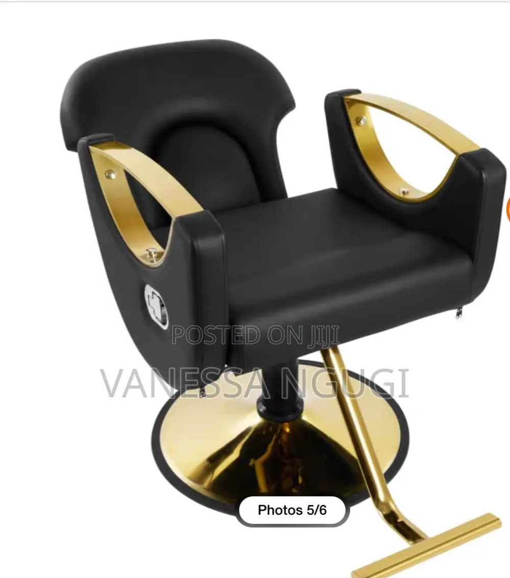 Comfortable Saloon/Barber Chairs Leather Saloon Chair