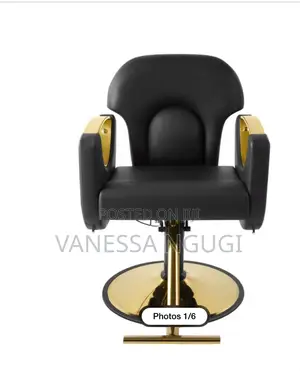 Comfortable Saloon/Barber Chairs Leather Saloon Chair