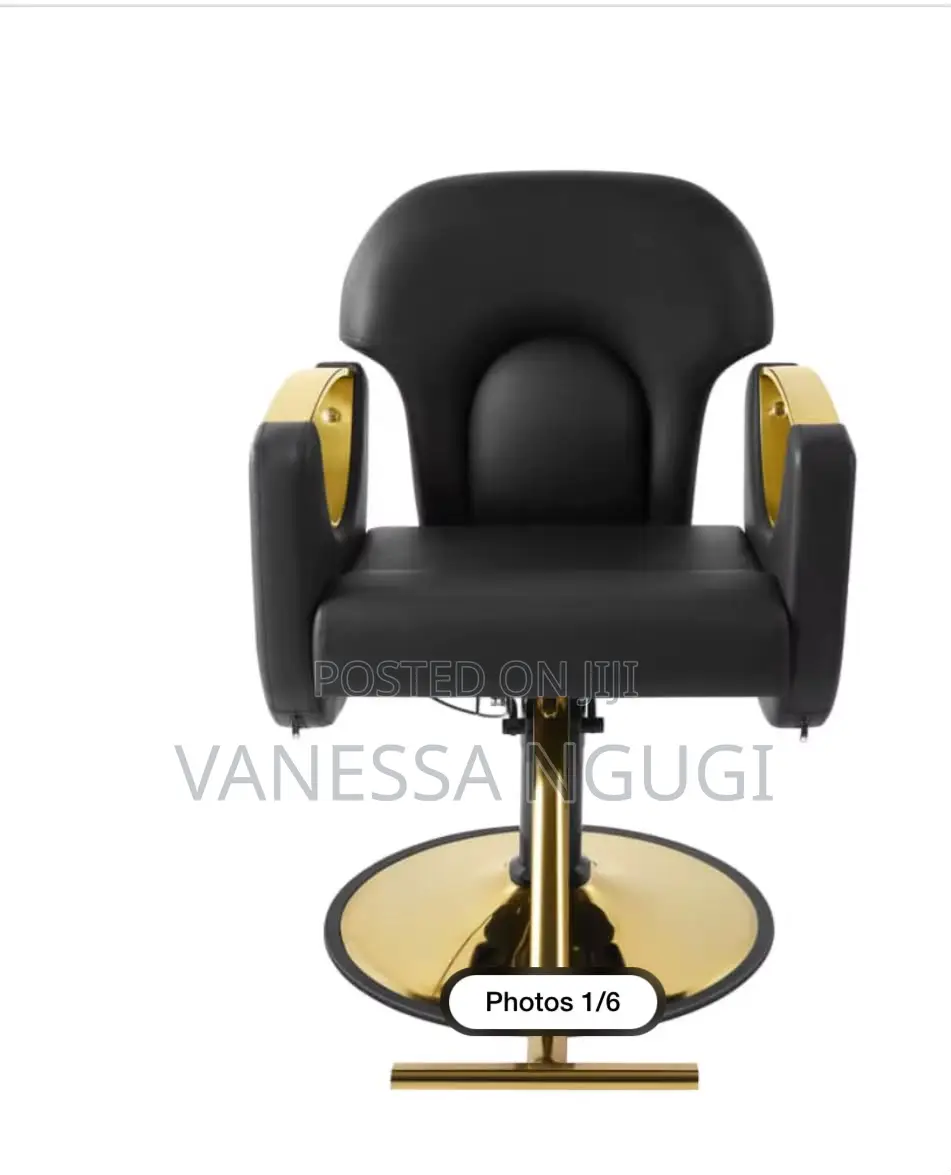 Comfortable Saloon/Barber Chairs Leather Saloon Chair