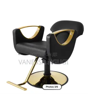 Comfortable Saloon/Barber Chairs Leather Saloon Chair
