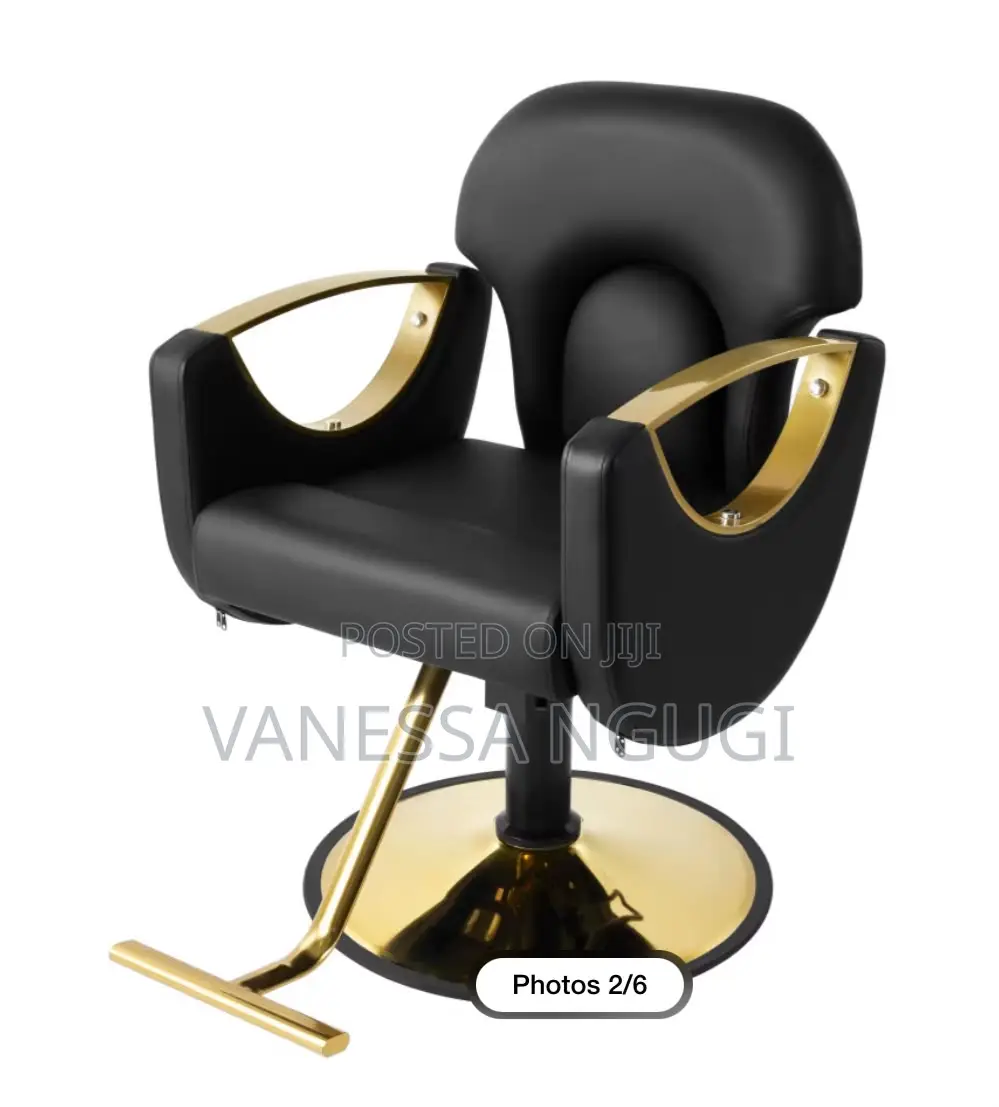 Comfortable Saloon/Barber Chairs Leather Saloon Chair