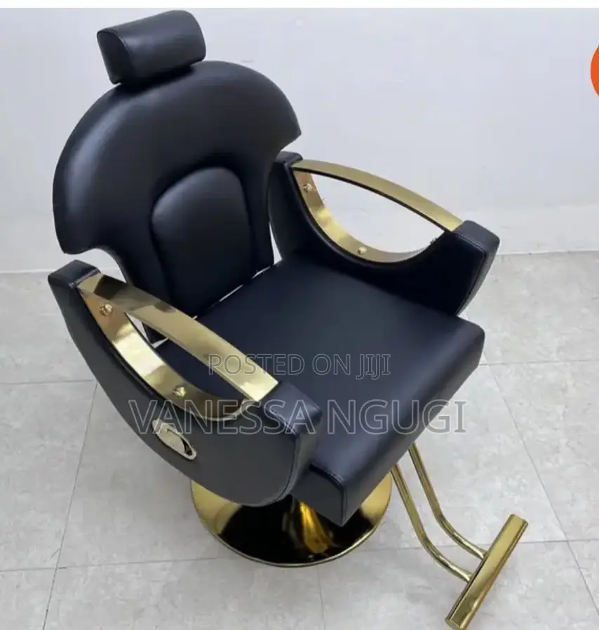 Comfortable Saloon/Barber Chairs Leather Saloon Chair