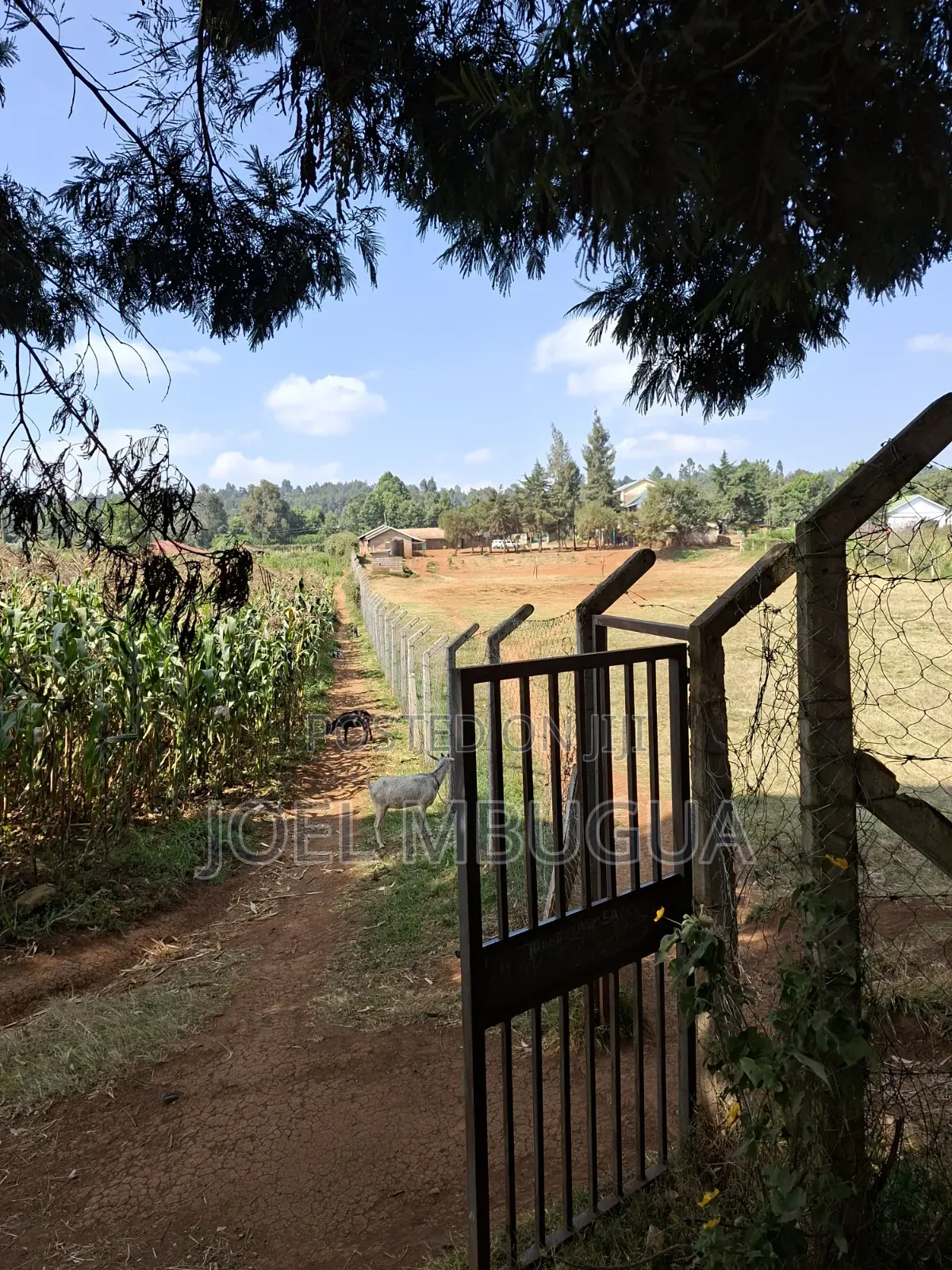 80×100 Residential Plot Adjoining Tharuni Primary School
