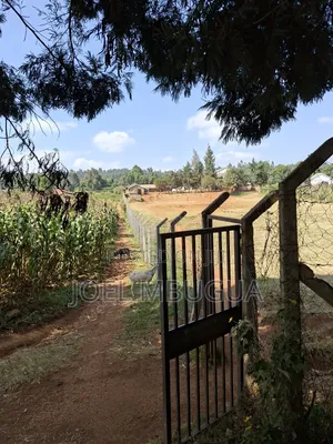 80×100 Residential Plot Adjoining Tharuni Primary School