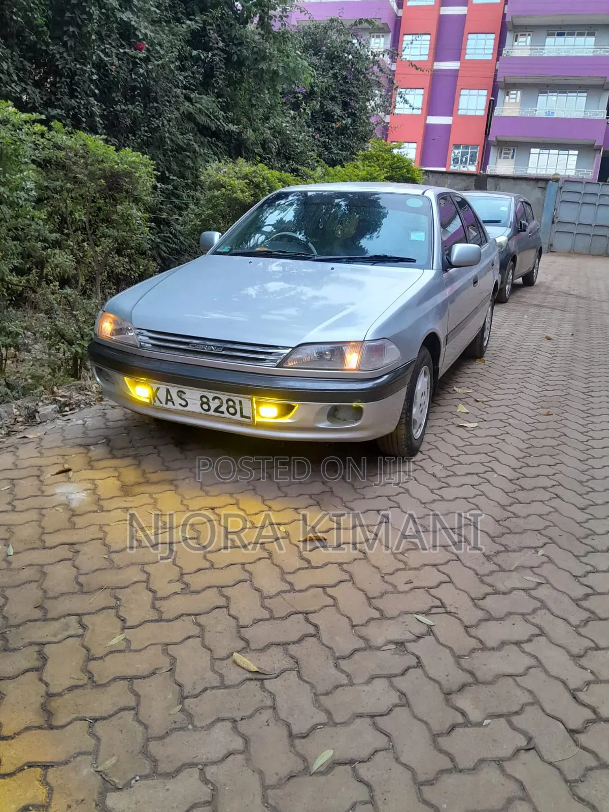 Toyota Carina 1995 Silver