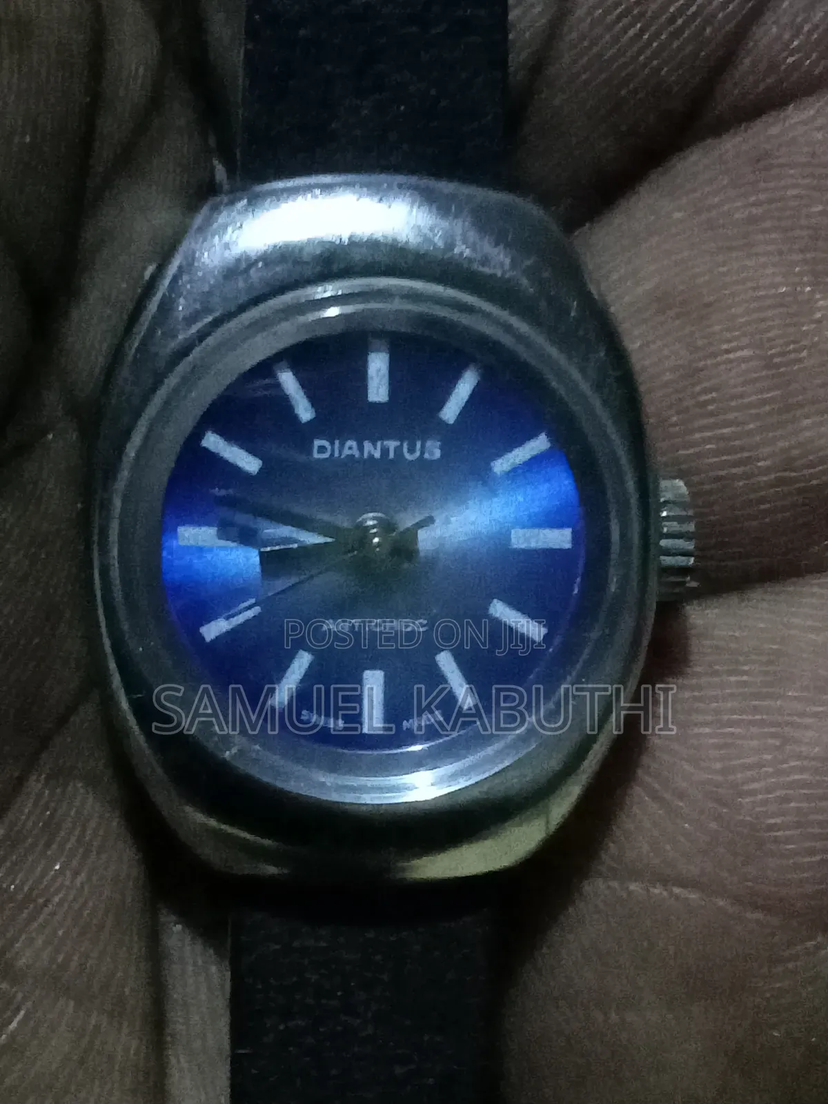 Diantus Antichoc