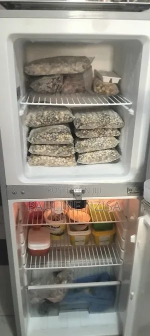 Fridge for House Use
