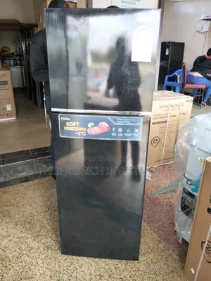 Haier 229 Litres Double Door Refrigerator No Frost