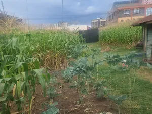 100x50 Ft Commercial Plot