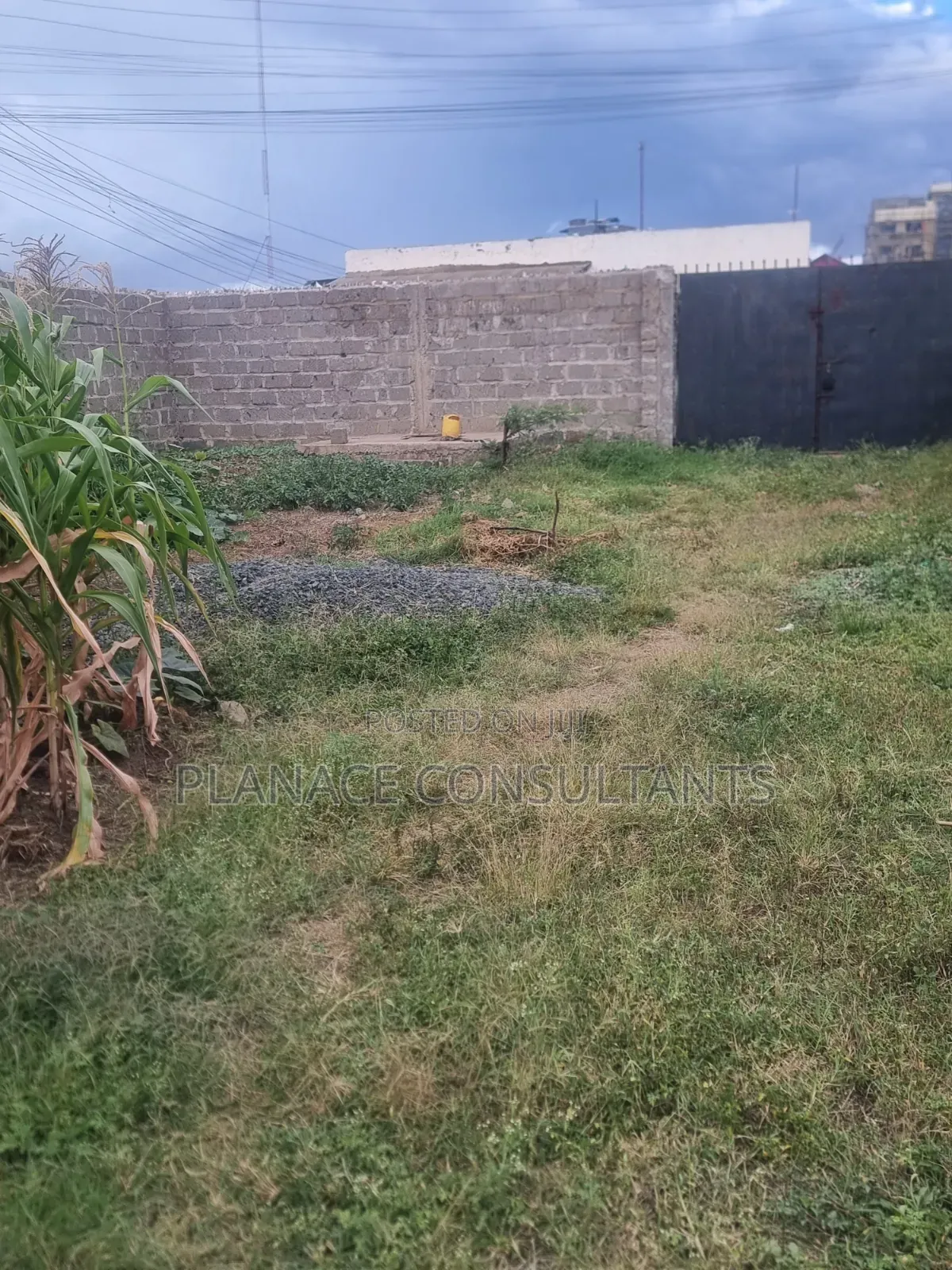 100x50 Ft Commercial Plot