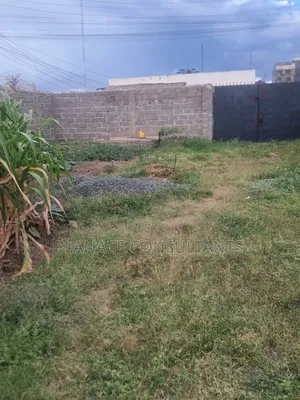 100x50 Ft Commercial Plot