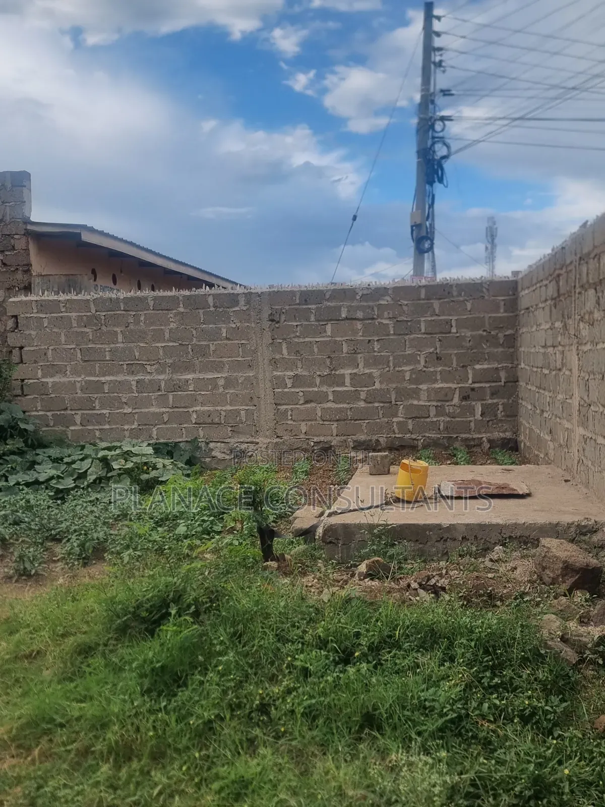 100x50 Ft Commercial Plot