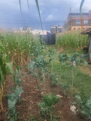 100x50 Ft Commercial Plot