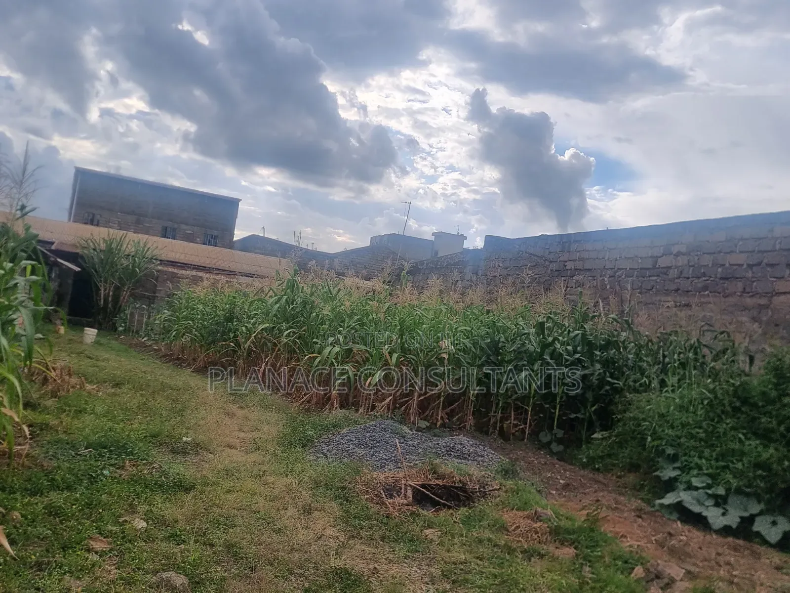 100x50 Ft Commercial Plot