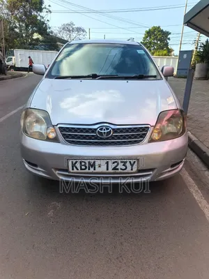 Toyota Corolla Fielder 2004 Silver