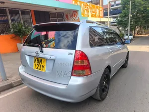 Toyota Corolla Fielder 2004 Silver