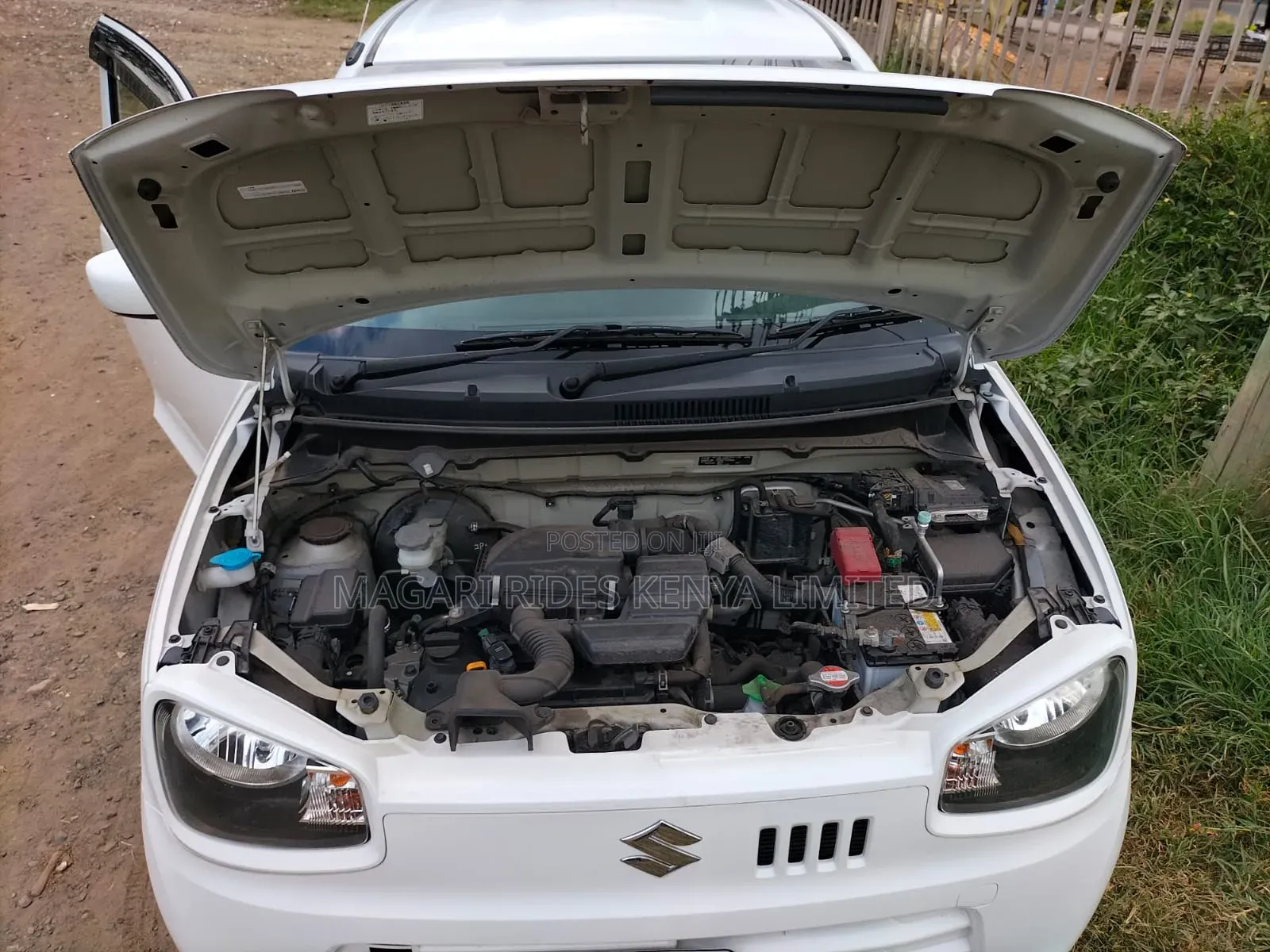 Suzuki Alto 2019 White