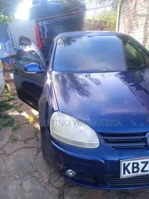 Volkswagen Golf 2008 Blue