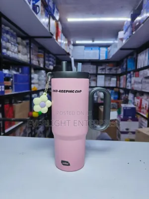 New Stanley Mug