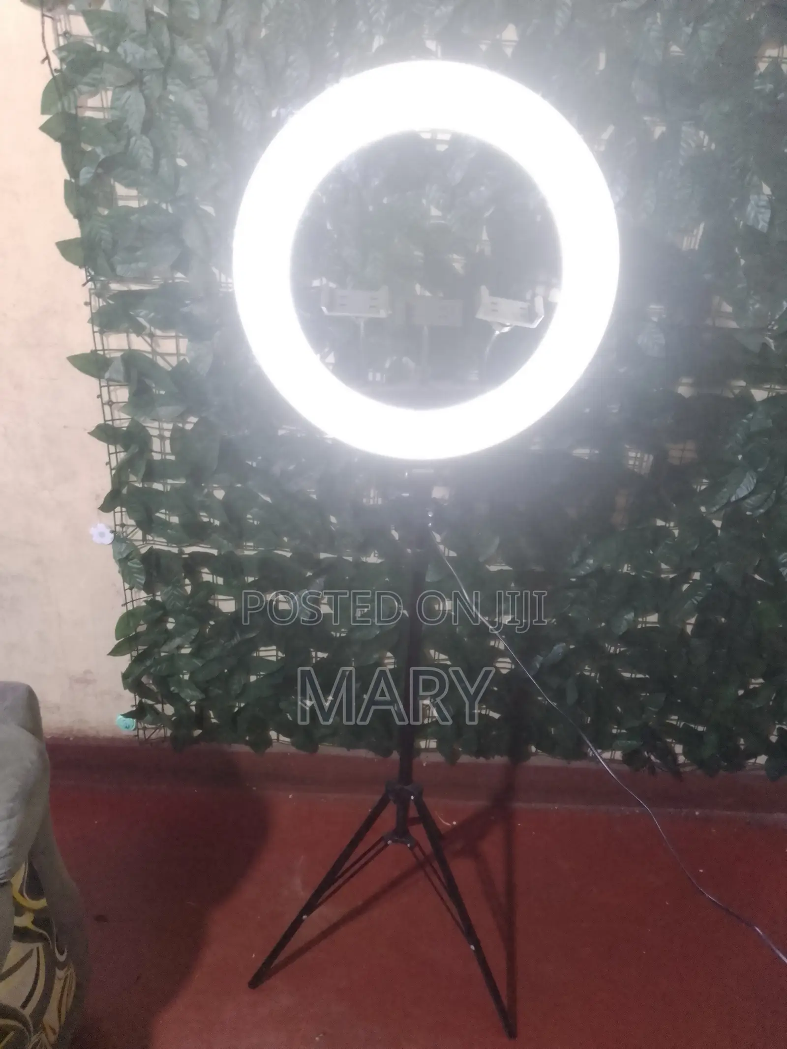 Ring Light