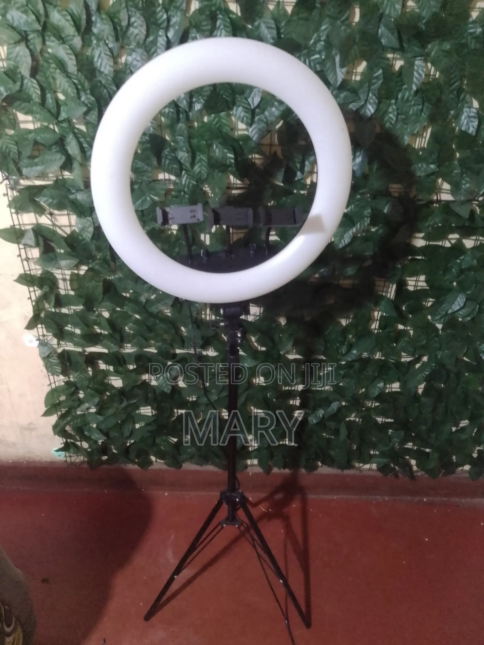 Ring Light