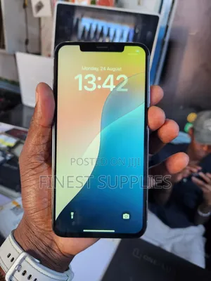Apple iPhone XS Max 256 GB Gray