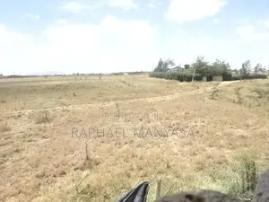 Plot @Kamulu