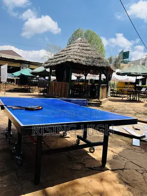 25MM Thickness Table Tennis 🏓