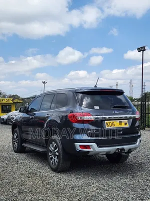Ford Everest 2021 Gray