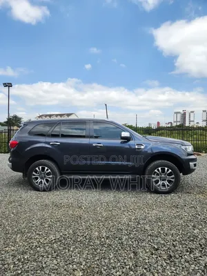 Ford Everest 2021 Gray