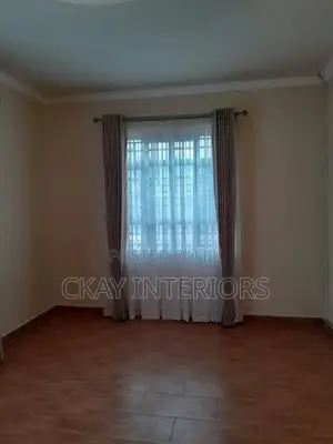 Elegant Curtains for Elegant Living Room Windows