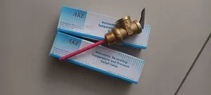 Pressure and Temperature Relief Valves /Pt Valves