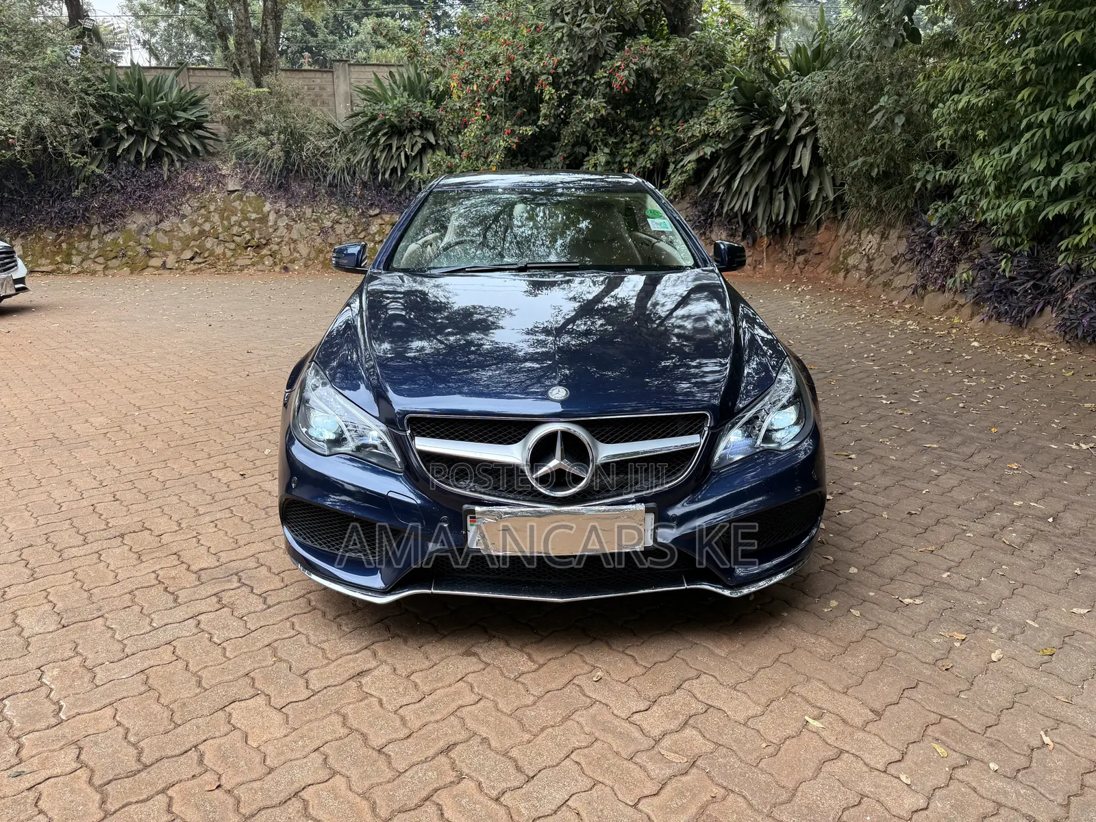 Mercedes-Benz E220 2010 Blue