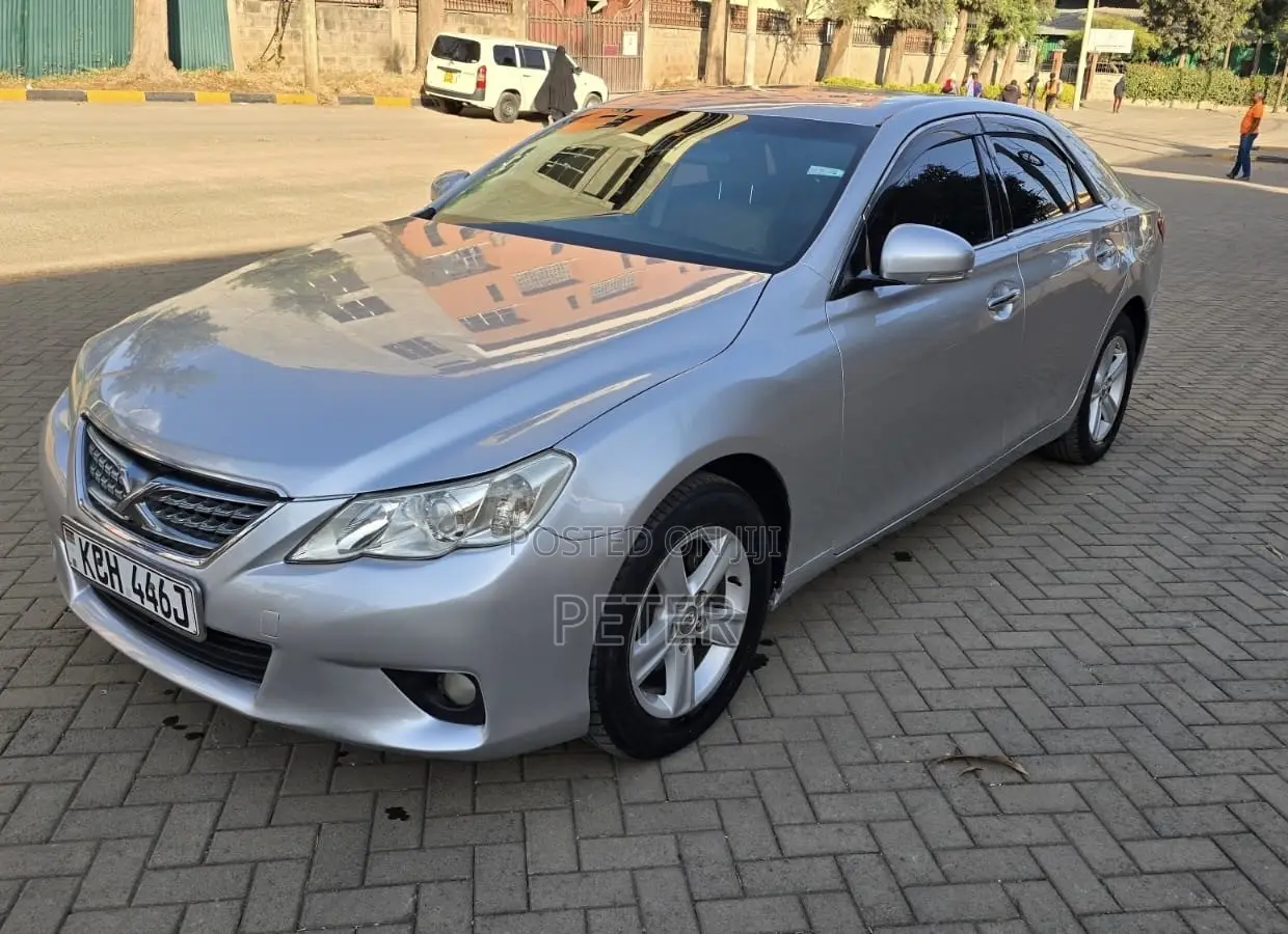 Toyota Mark X 2009 Silver