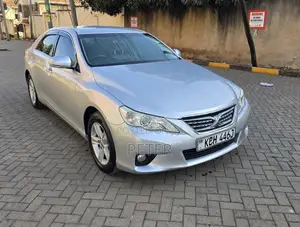 Toyota Mark X 2009 Silver