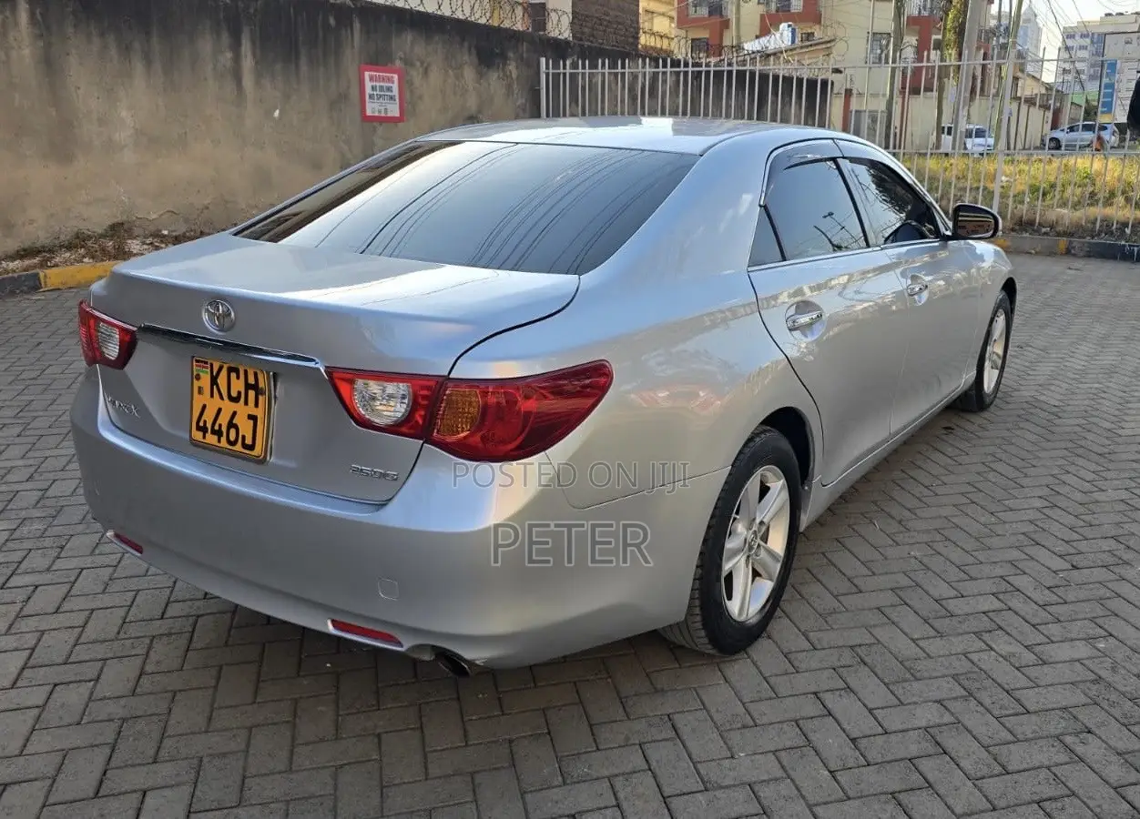 Toyota Mark X 2009 Silver