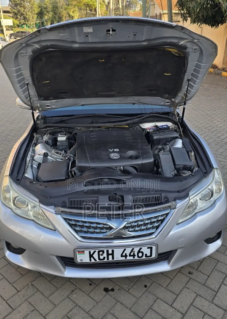 Toyota Mark X 2009 Silver