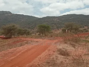 38 Acres in Namanga